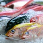 Full procedure for exporting fresh water fishes from India 29 full procedure for exporting fresh water fishes from India