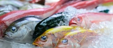 Successful Fisheries Business