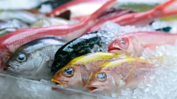 Successful Fisheries Business 29 Successful Fisheries Business