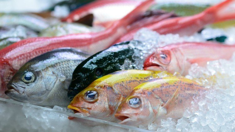 Successful Fisheries Business 11 Successful Fisheries Business