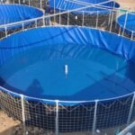 Highly Profitable Fish Farming Business. Biofloc Technology 34 Highly Profitable Fish Farming Business.Biofloc Technology