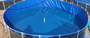 Highly Profitable Fish Farming Business.Biofloc Technology