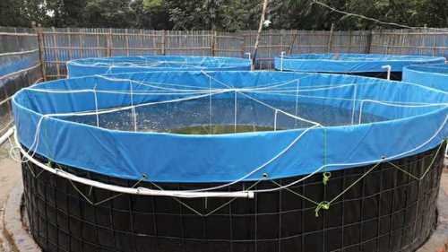 Highly Profitable Fish Farming Business. Biofloc Technology