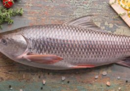 Rohu Fish Description for Export