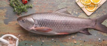 Rohu Fish Description for Export