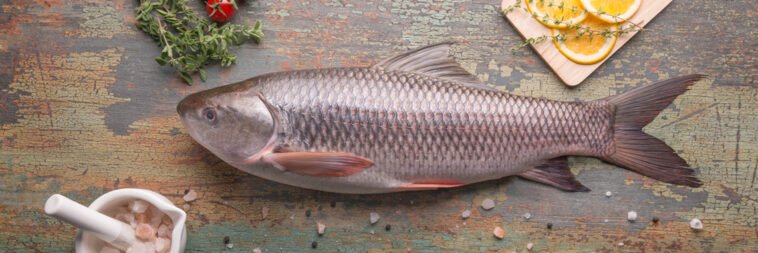 Rohu Fish Description for Export 11 Rohu Fish Description for Export