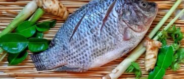 Billion Dollar Fish Farming Business In India