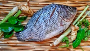 Billion Dollar Fish Farming Business In India 27 Billion Dollar Fish Farming Business In India