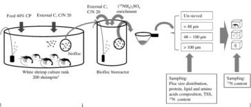 CONTRACT FISH FARMING
