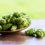 How To Grow Your Own Hops 29 How To Grow Your Own Hops