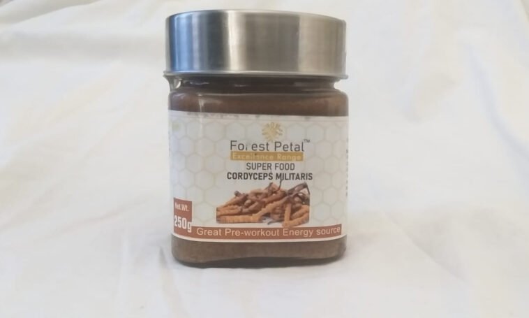 Become a Ayurveda Medicine distributor Of Cordyceps militaris 11 Cordyceps militaris