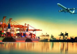 How to setup Export Business In Netherlands