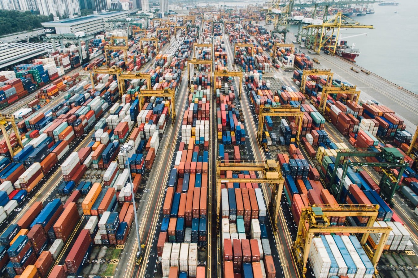 How to setup Export Business In Netherlands  